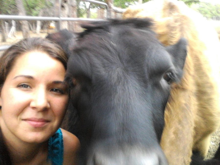 Cow and I